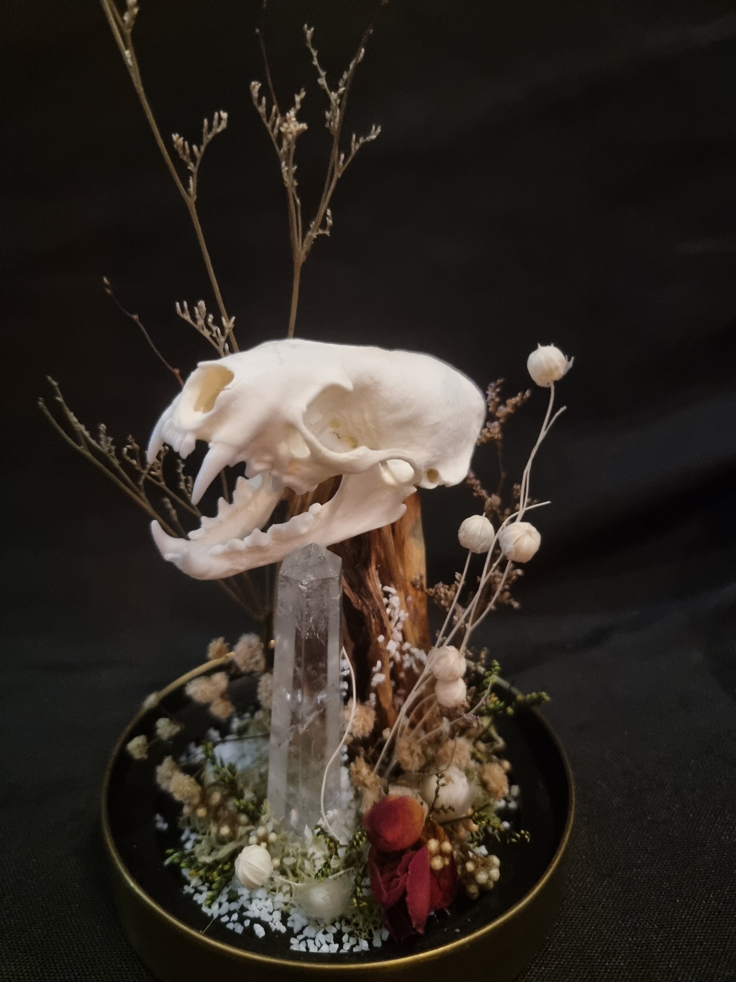 Mink Quartz Rose Terarrium