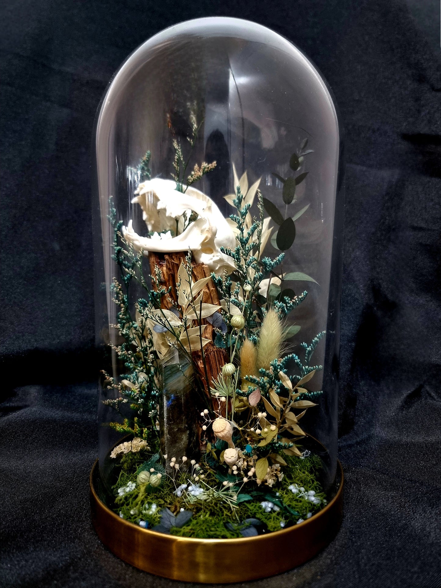 Cat Labradorite Green/Blue Terrarium