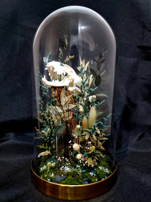 Cat Labradorite Green/Blue Terrarium