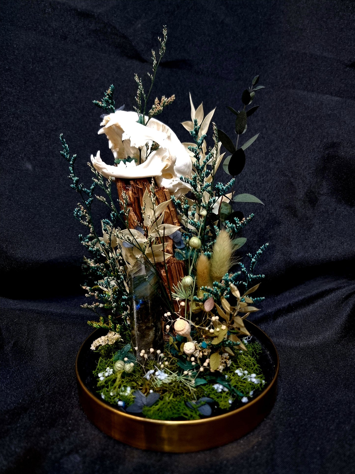 Cat Labradorite Green/Blue Terrarium