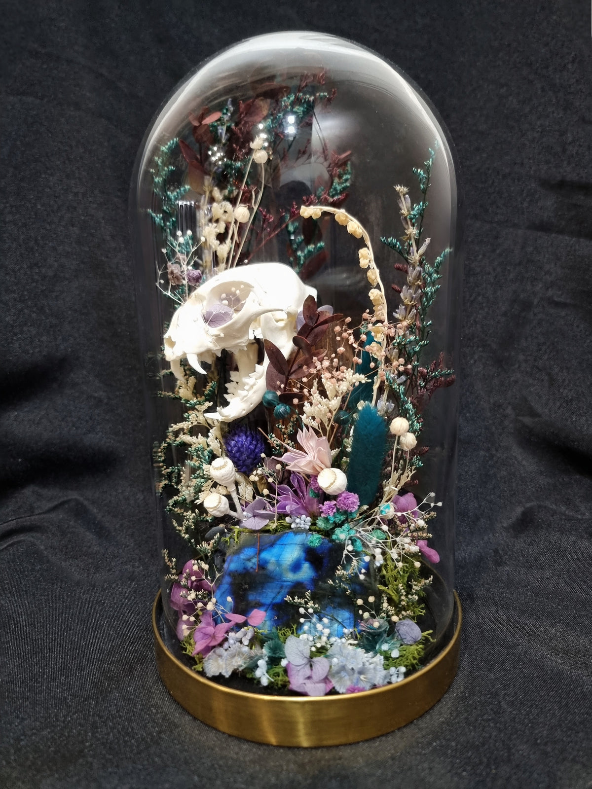 Cat Labradorite Terrarium