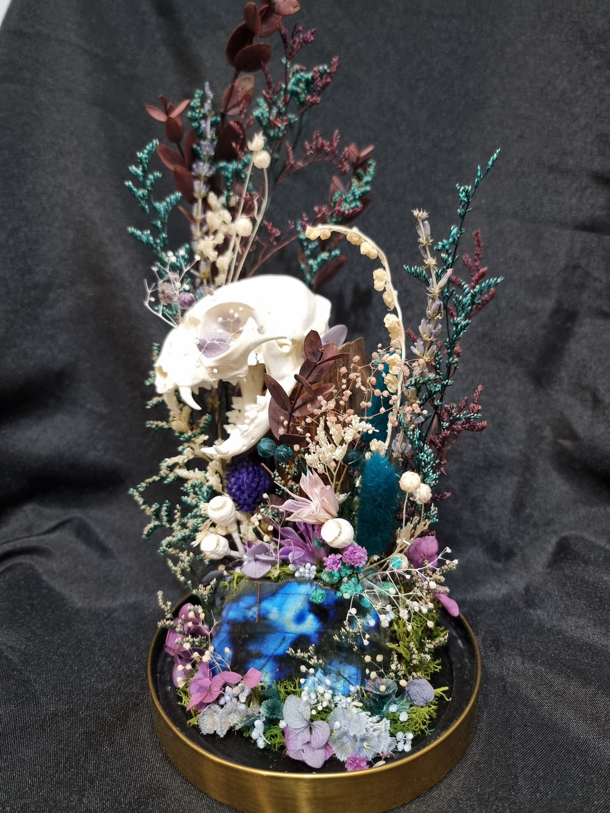 Cat Labradorite Terrarium