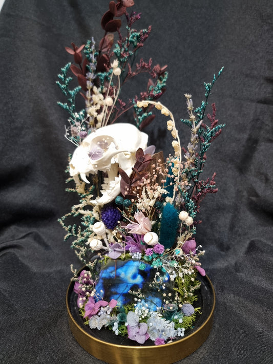 Cat Labradorite Terrarium