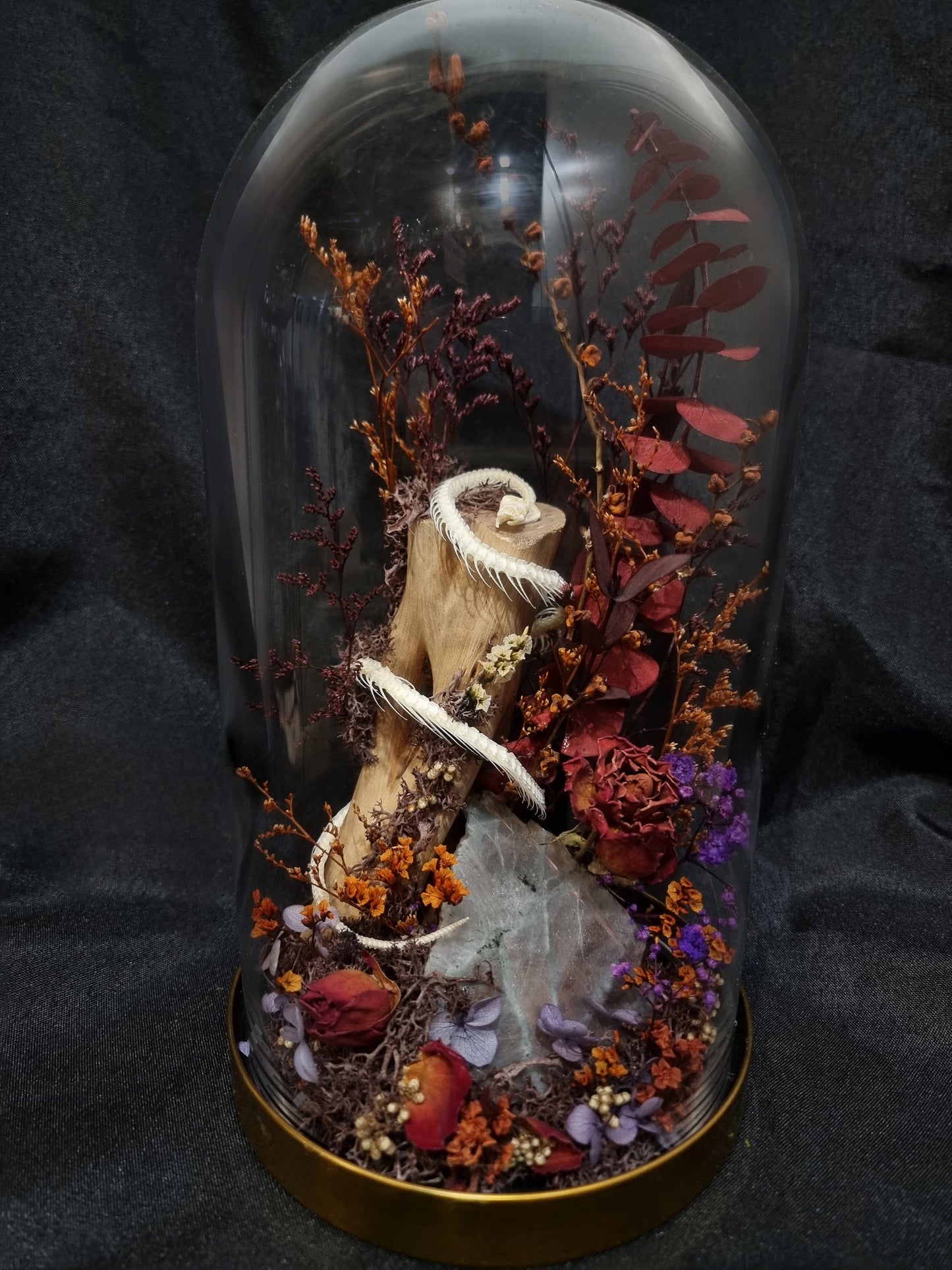 Snake Labradorite Sunset Terrarium