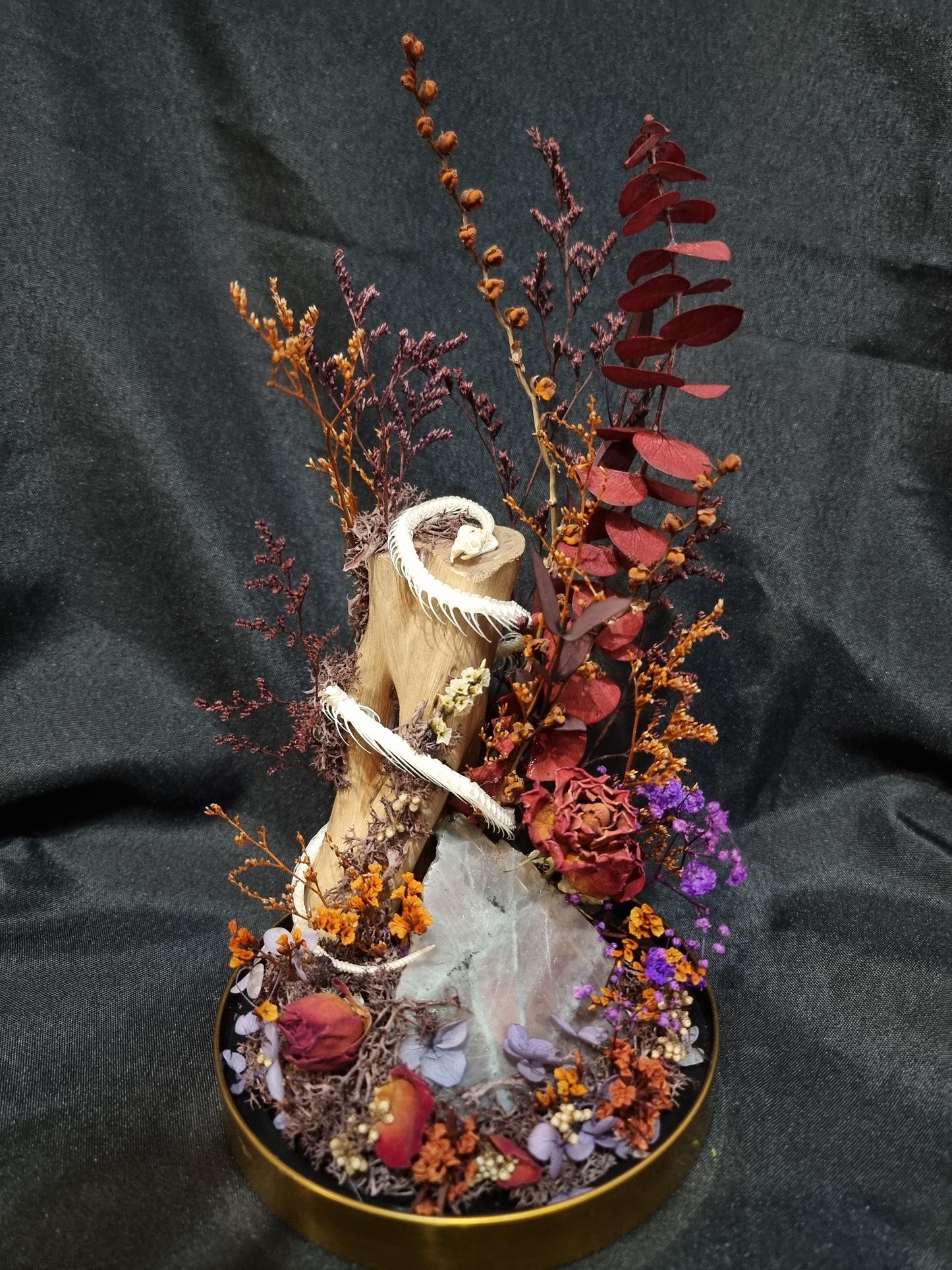 Snake Labradorite Sunset Terrarium