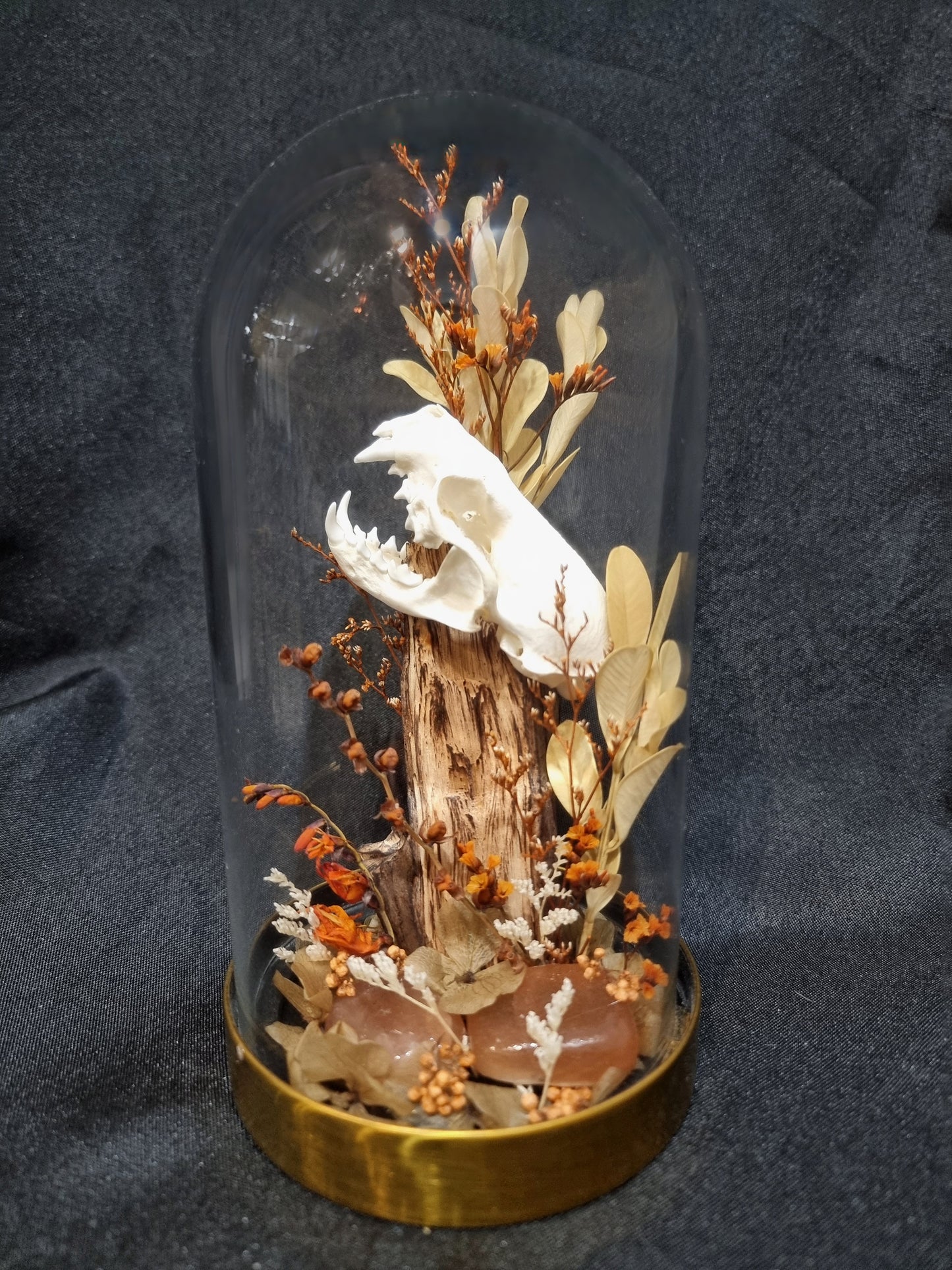 Mink Autumn Terrarium