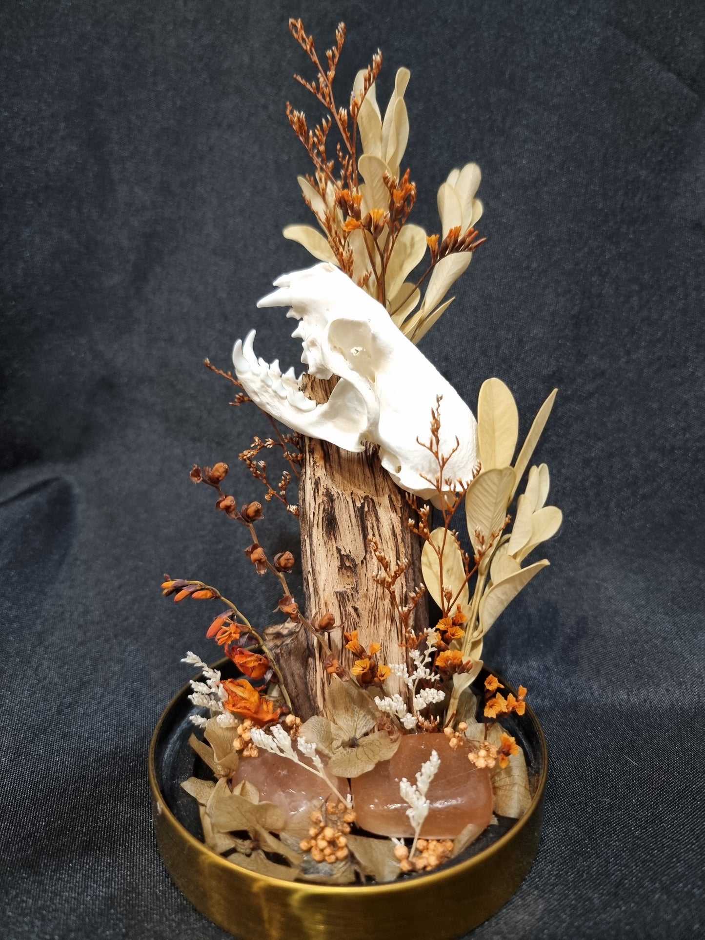 Mink Autumn Terrarium