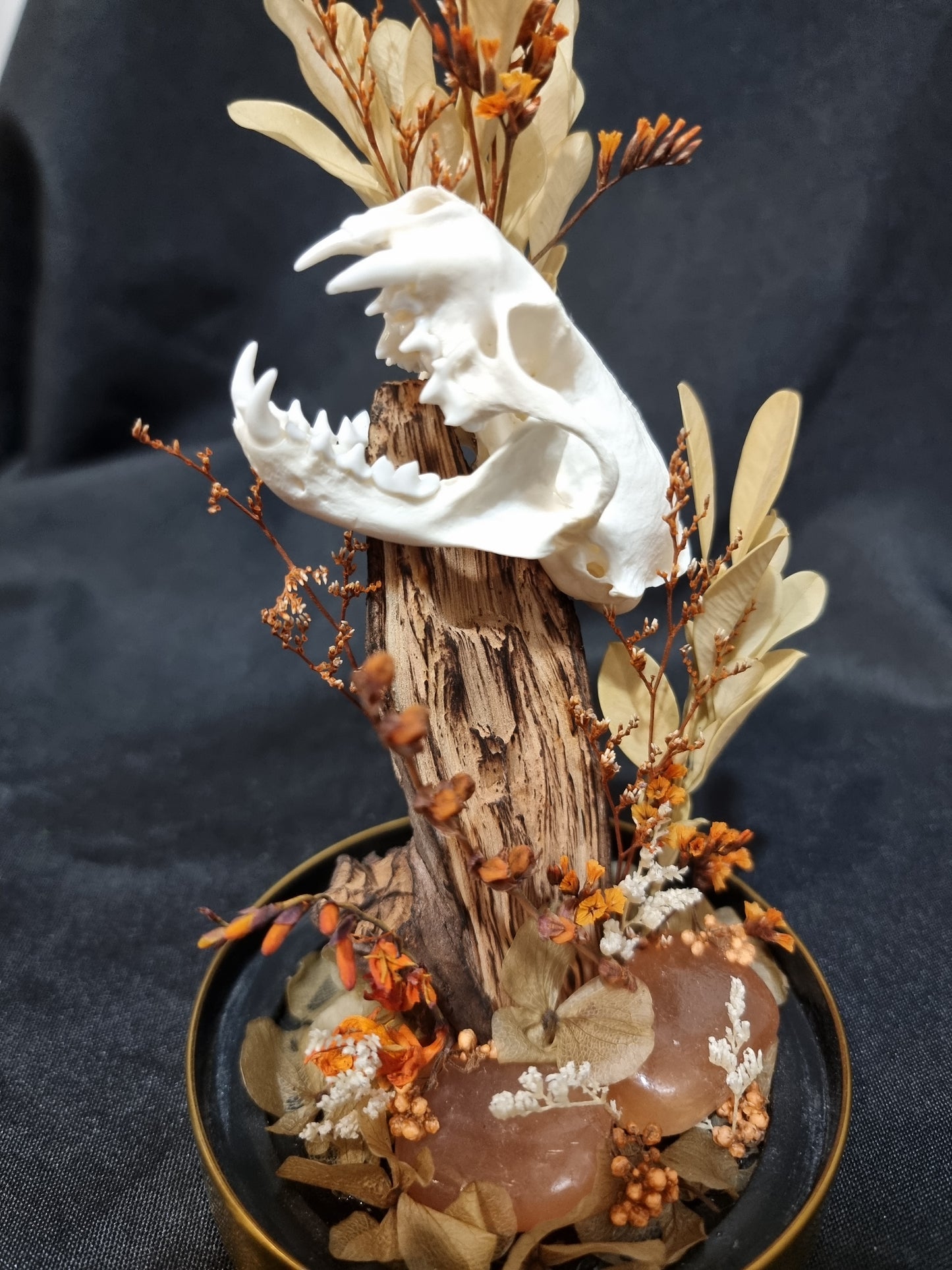 Mink Autumn Terrarium