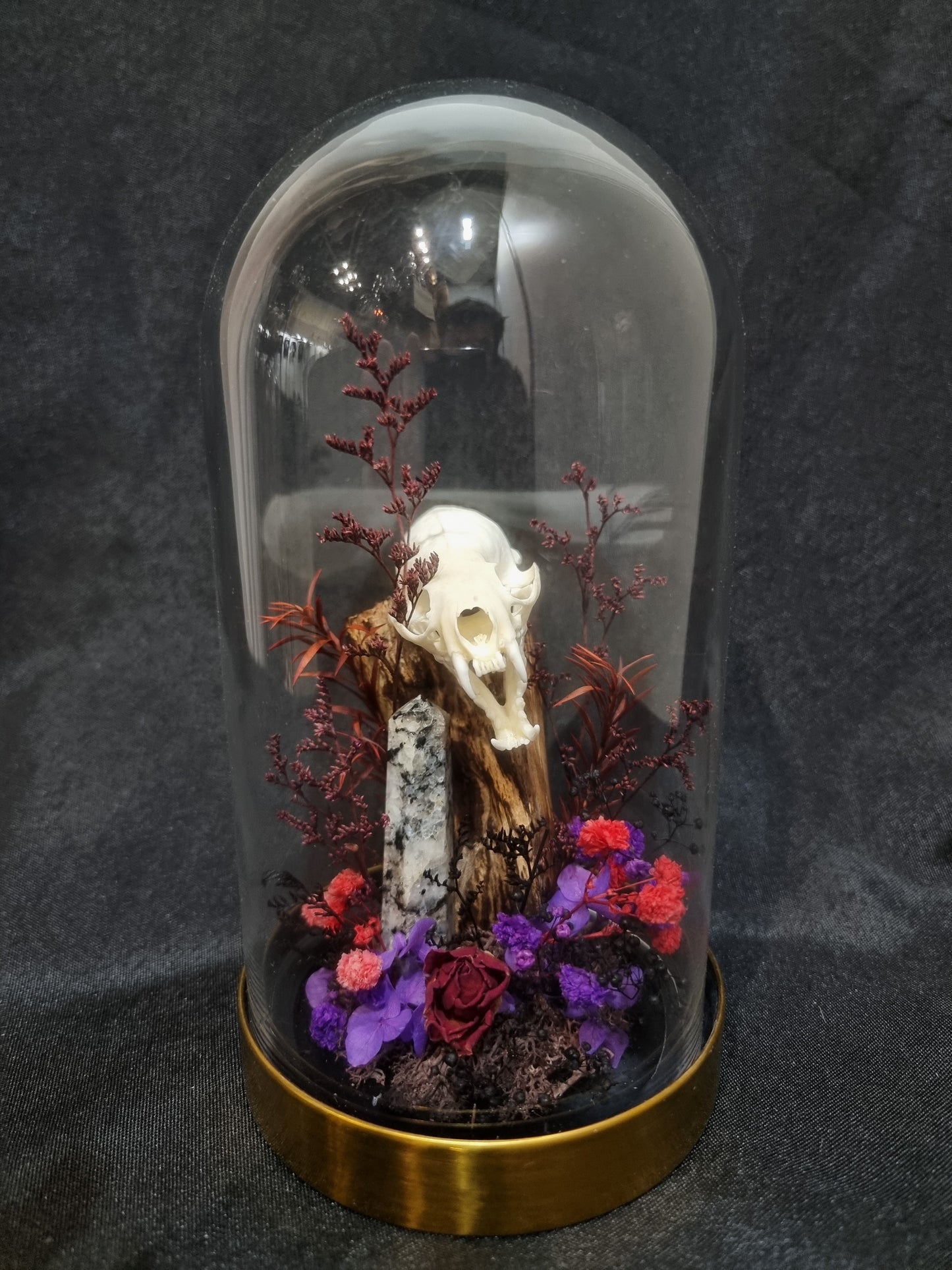 Mink Dalmatian Terrarium
