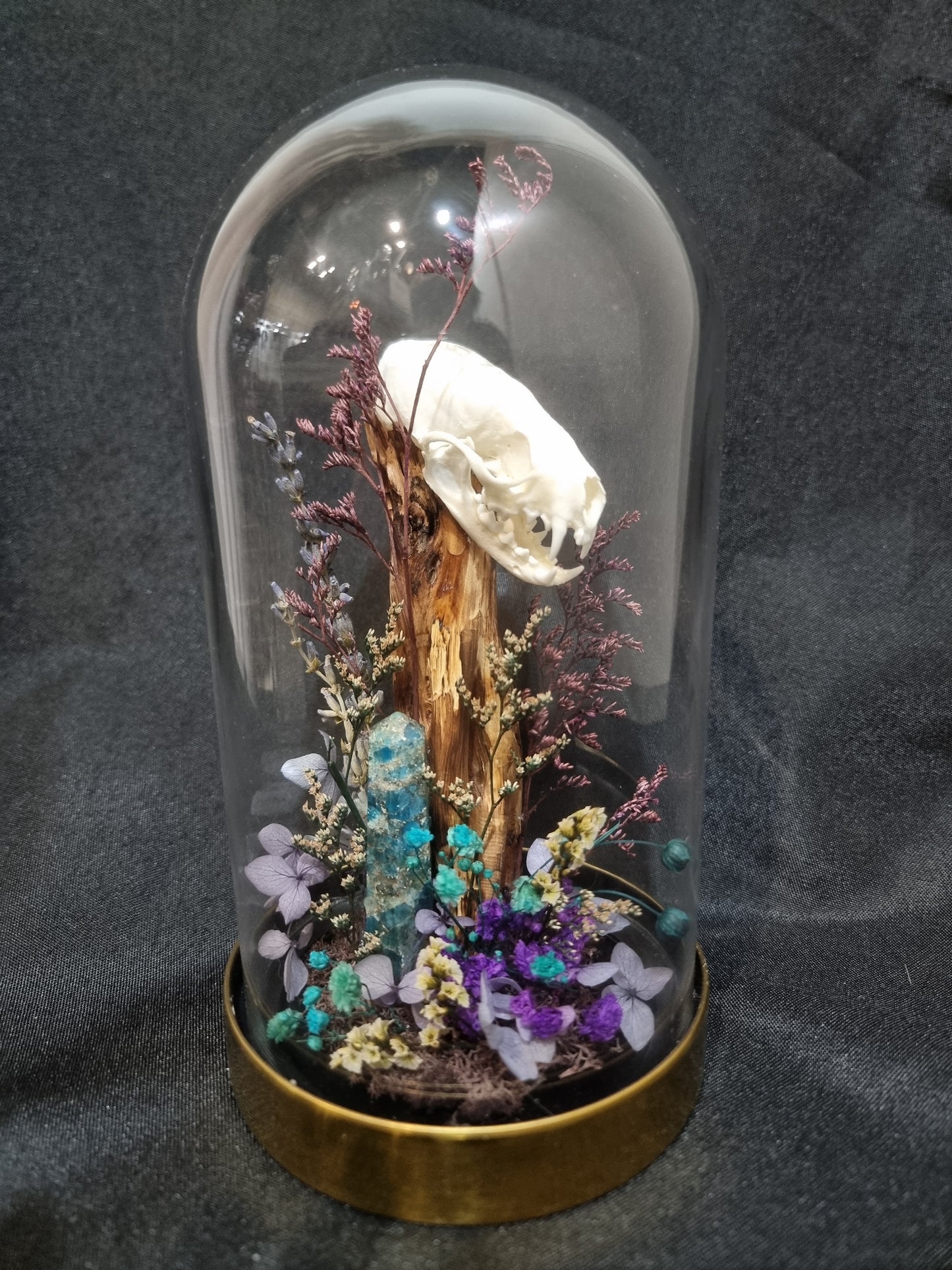 Mink Blue/Purple Terrarium