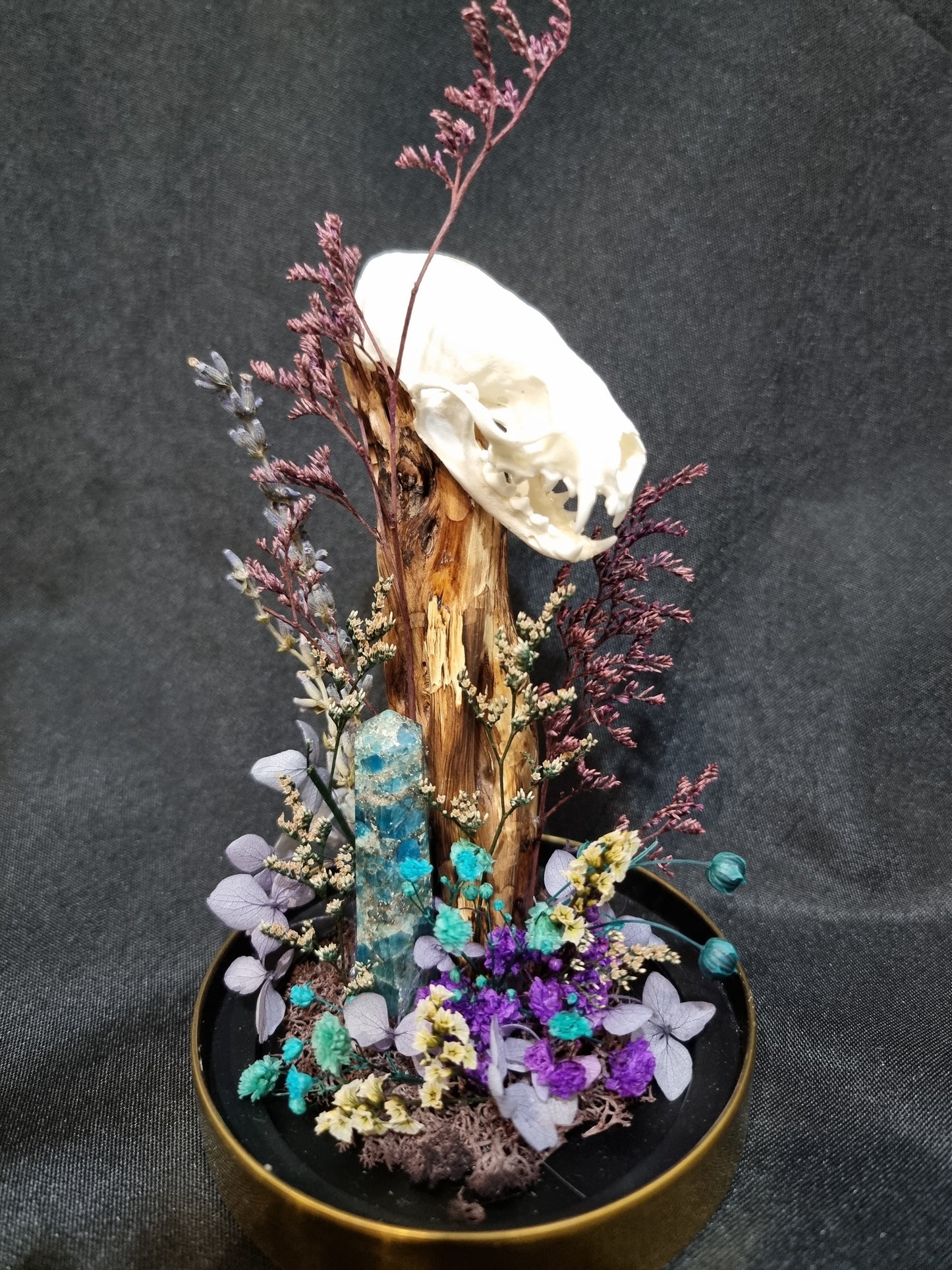 Mink Blue/Purple Terrarium