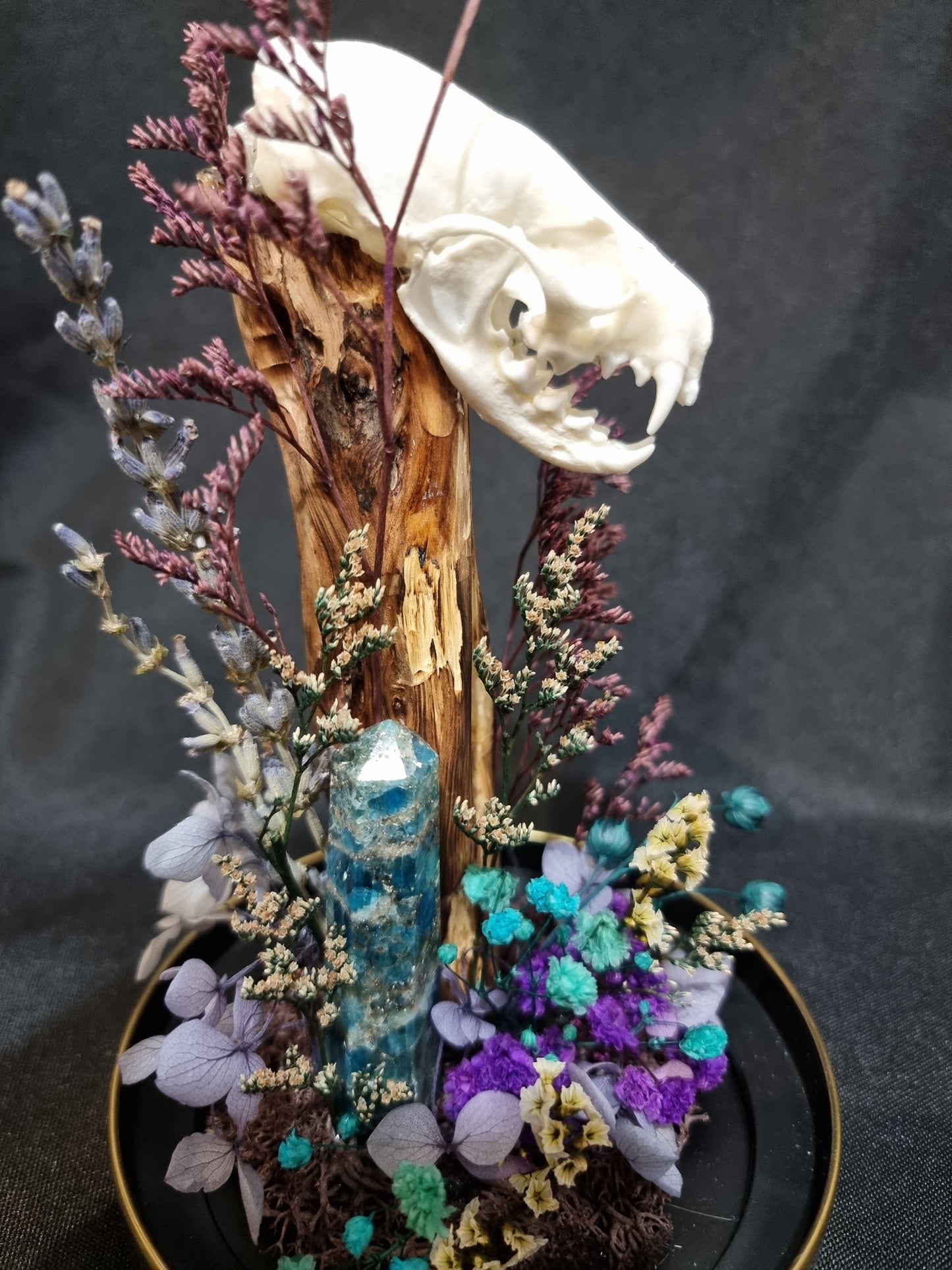 Mink Blue/Purple Terrarium