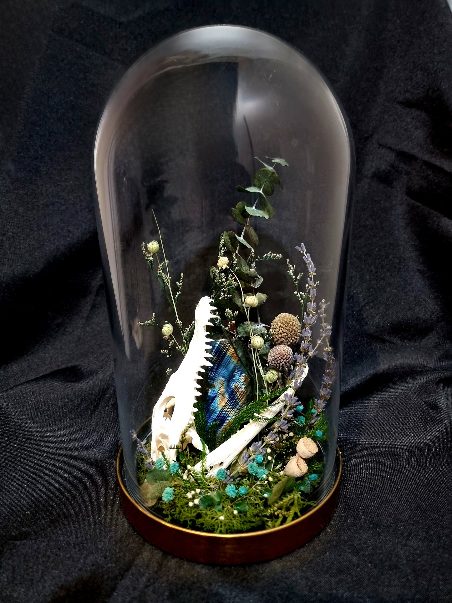 Croc Labradorite Terrarium