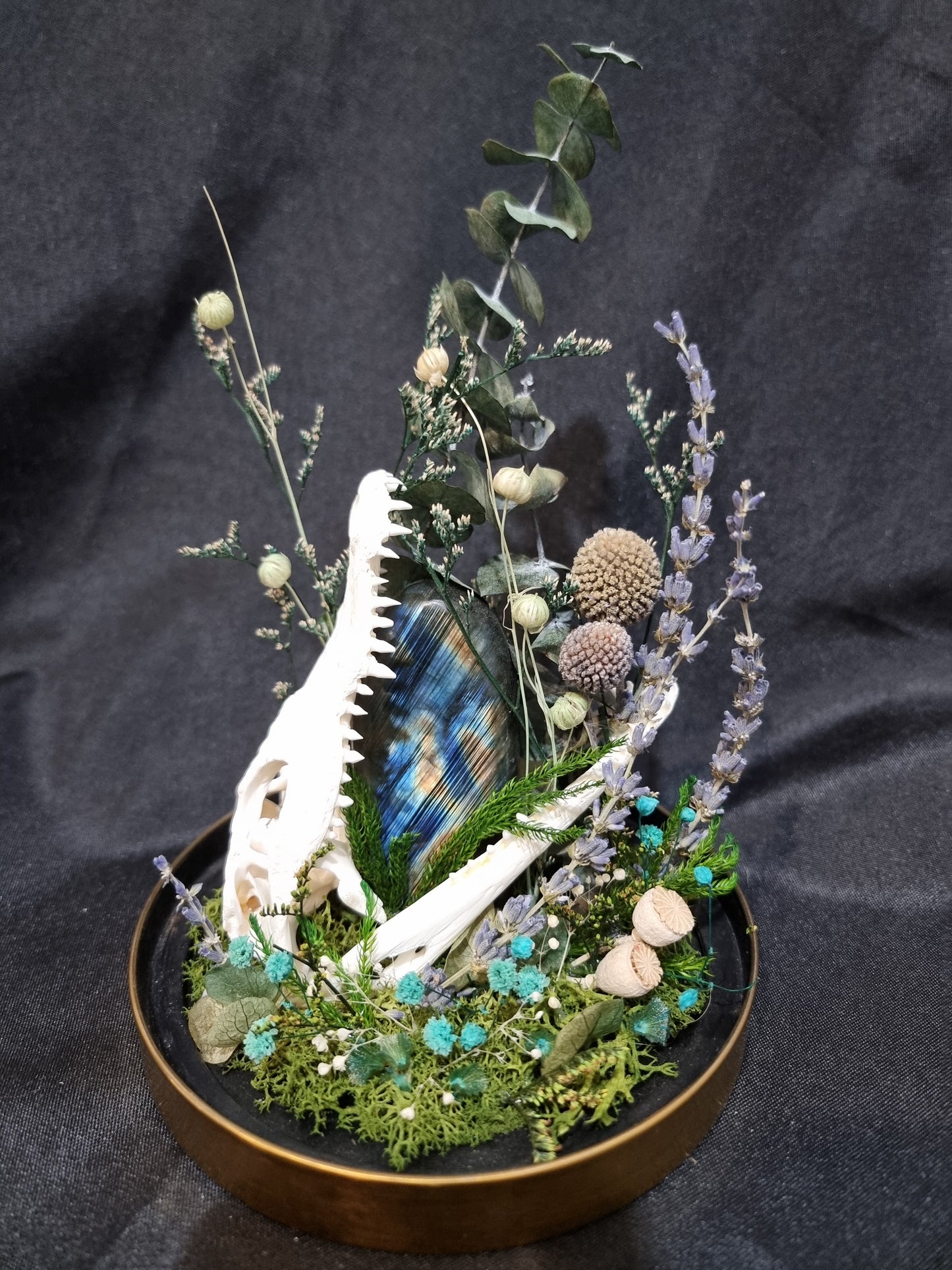 Croc Labradorite Terrarium