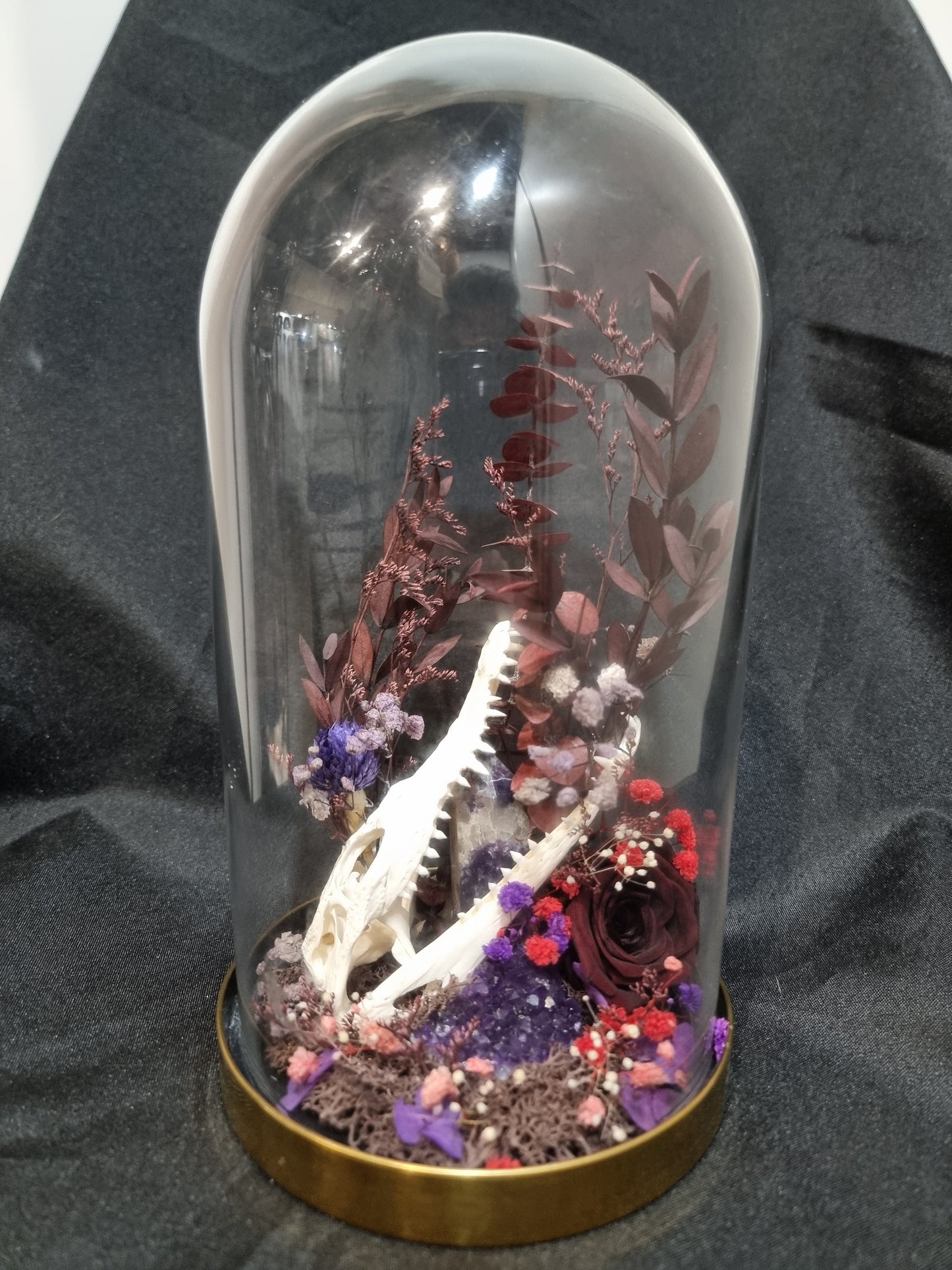 Croc Amethyst Terrarium