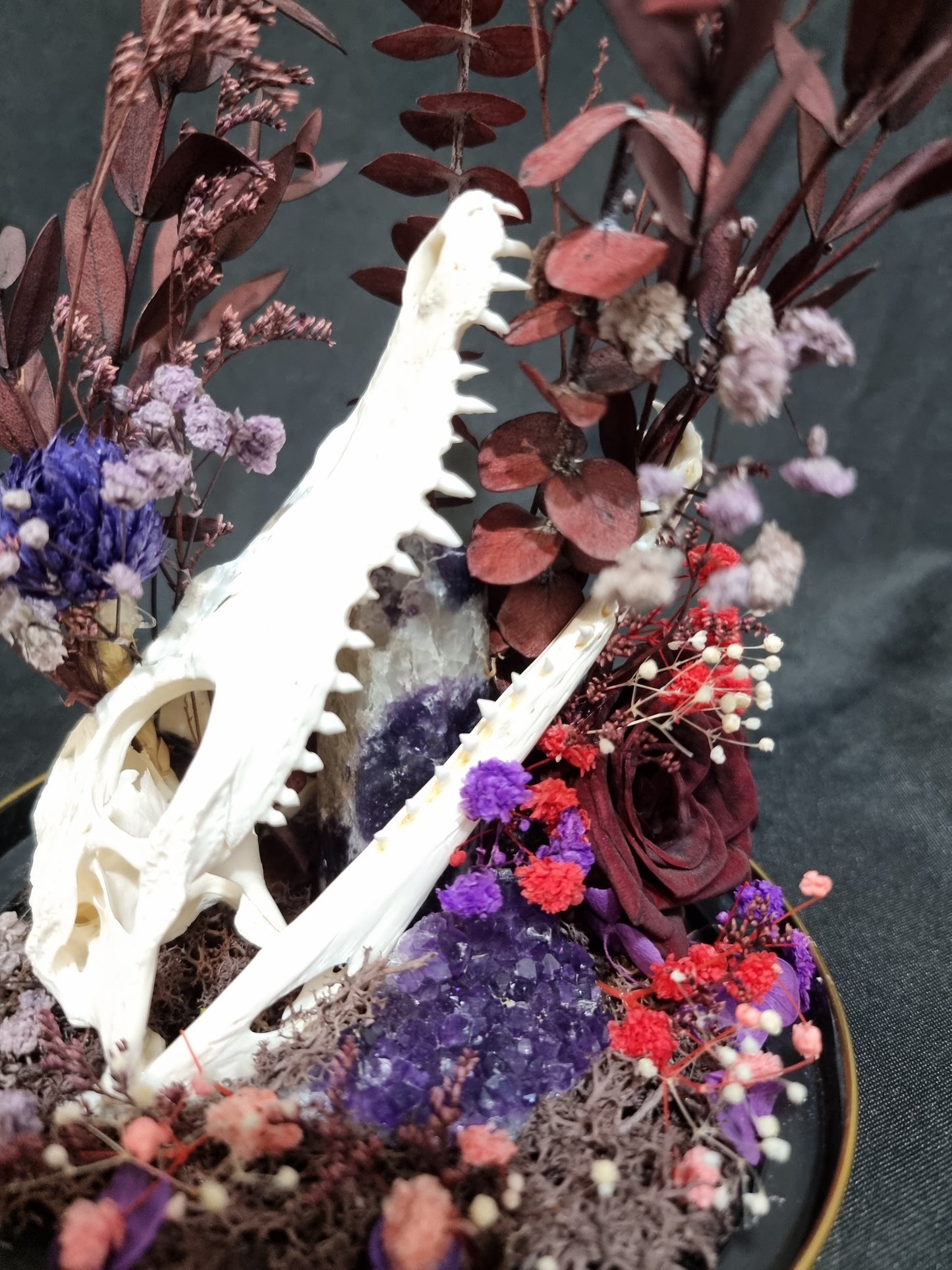 Croc Amethyst Terrarium