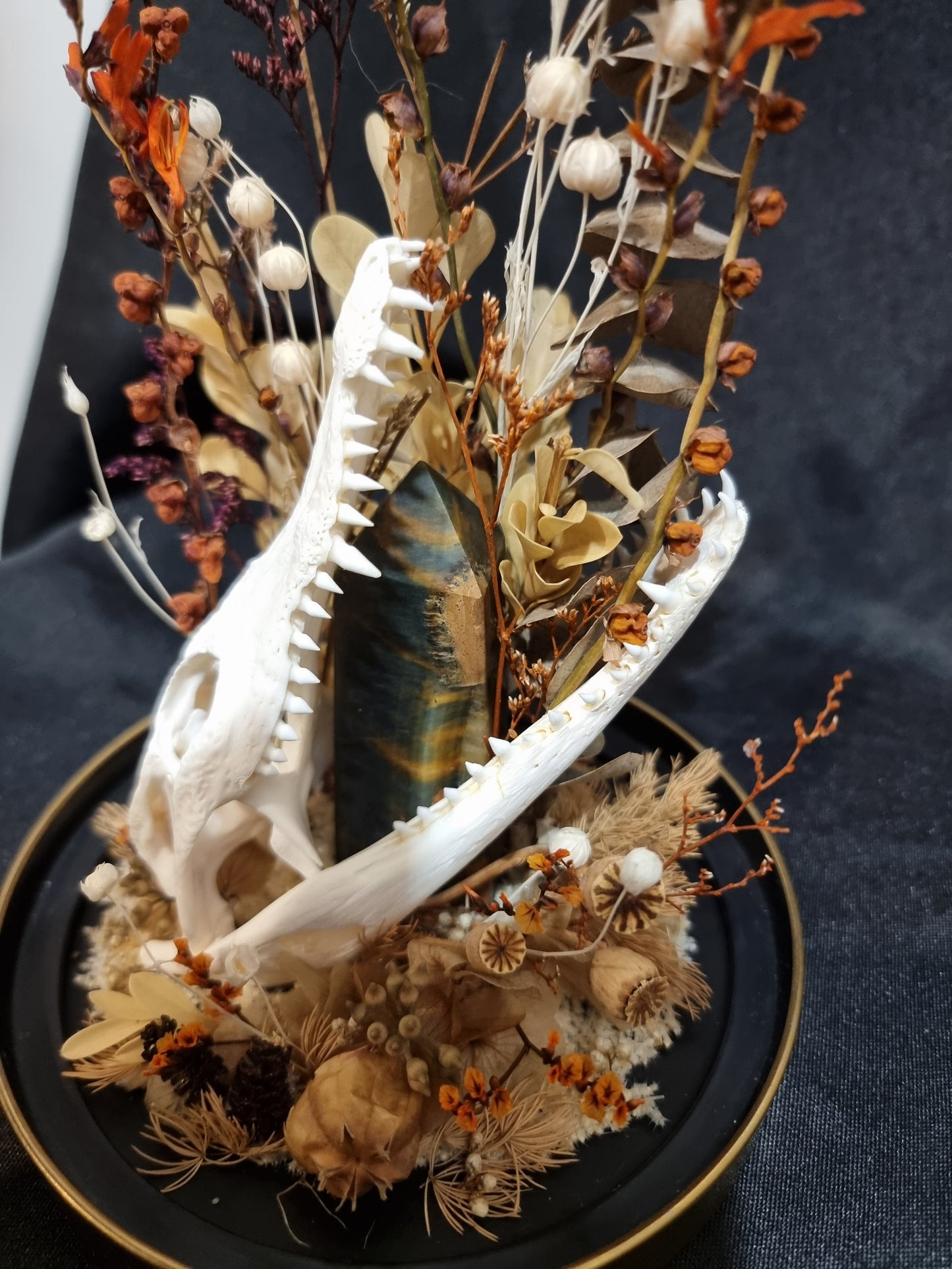 Croc Tigers Eye Terrarium