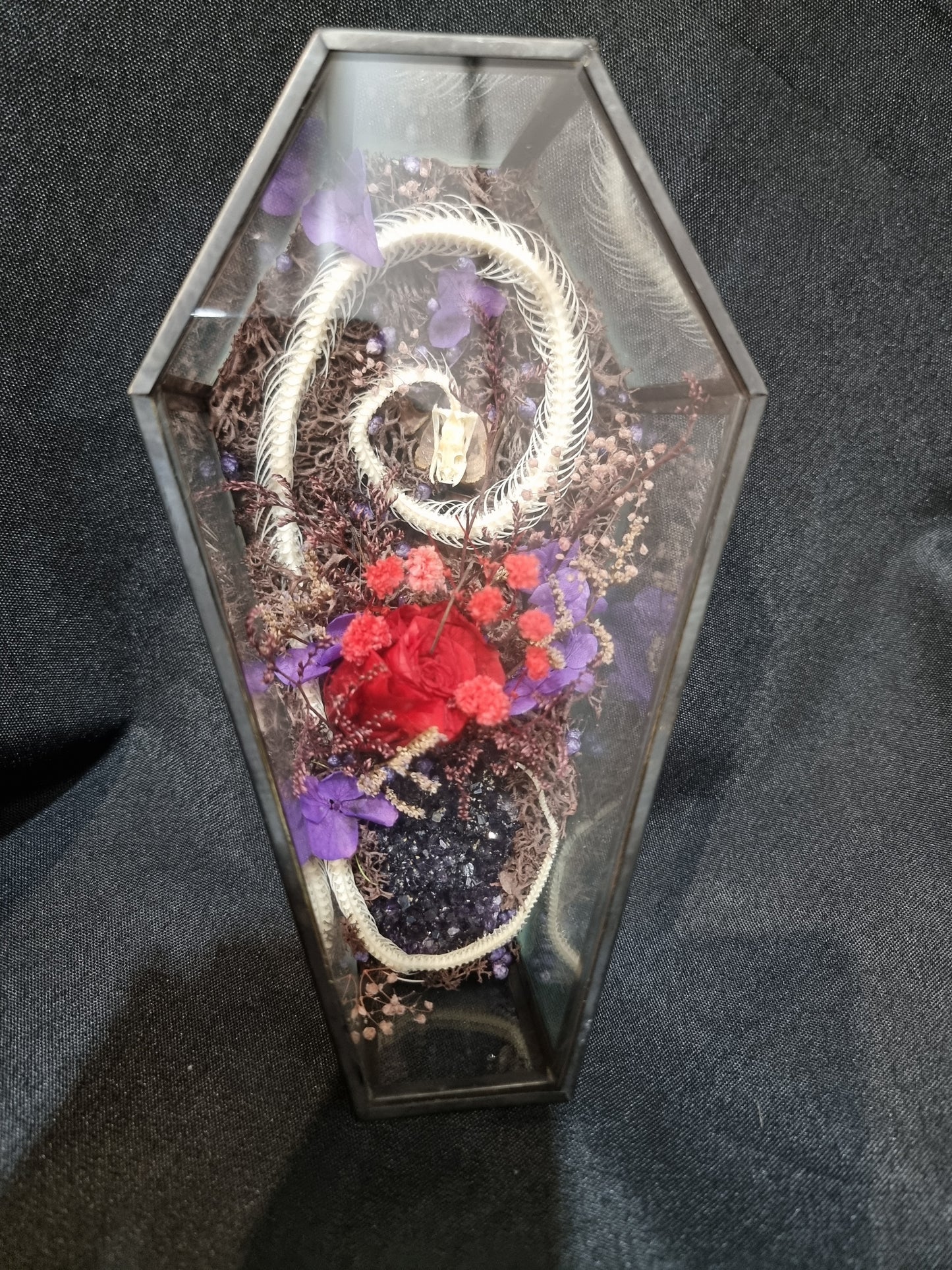 Snake Amethyst Coffin Terrarium