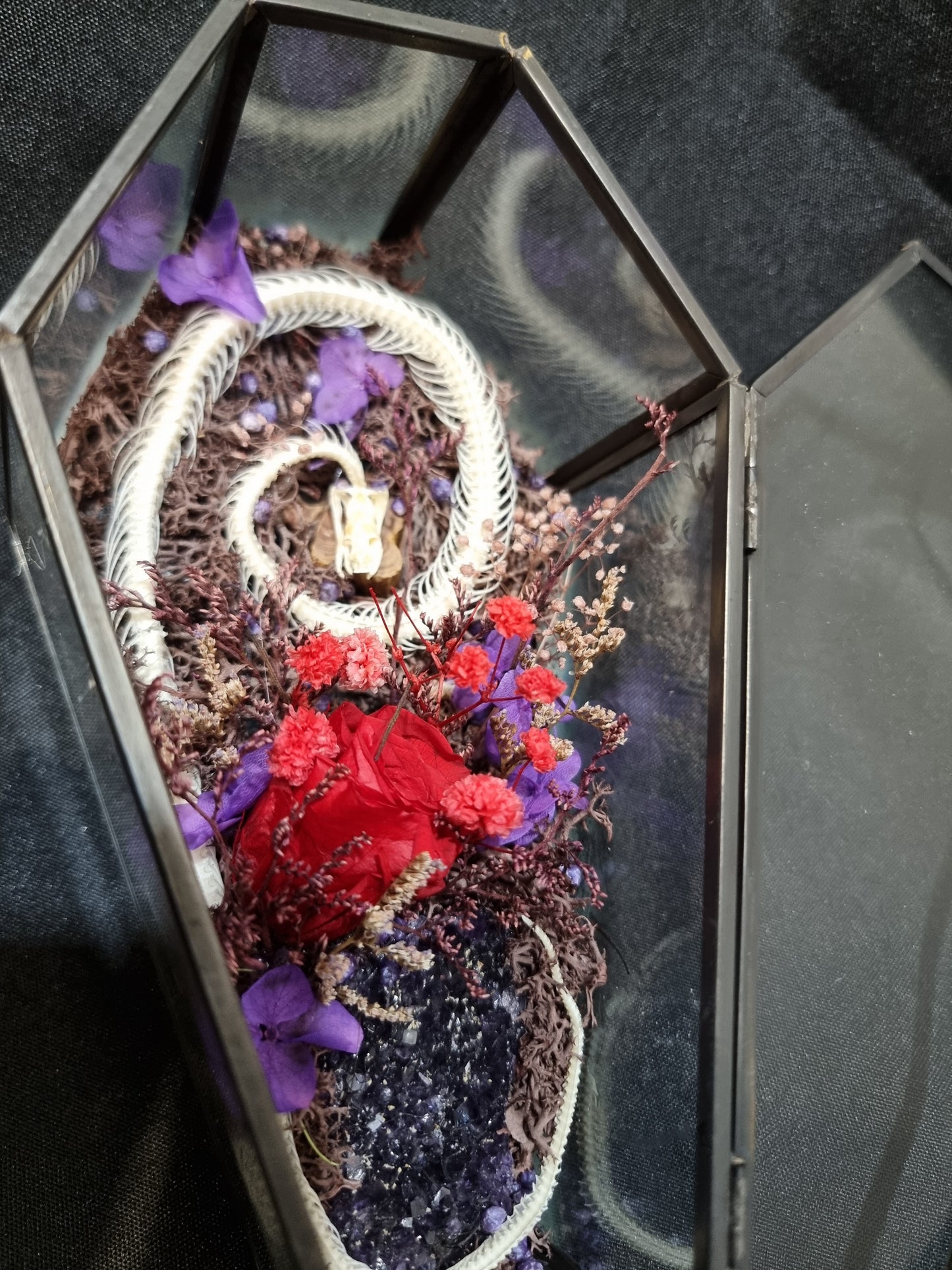Snake Amethyst Coffin Terrarium