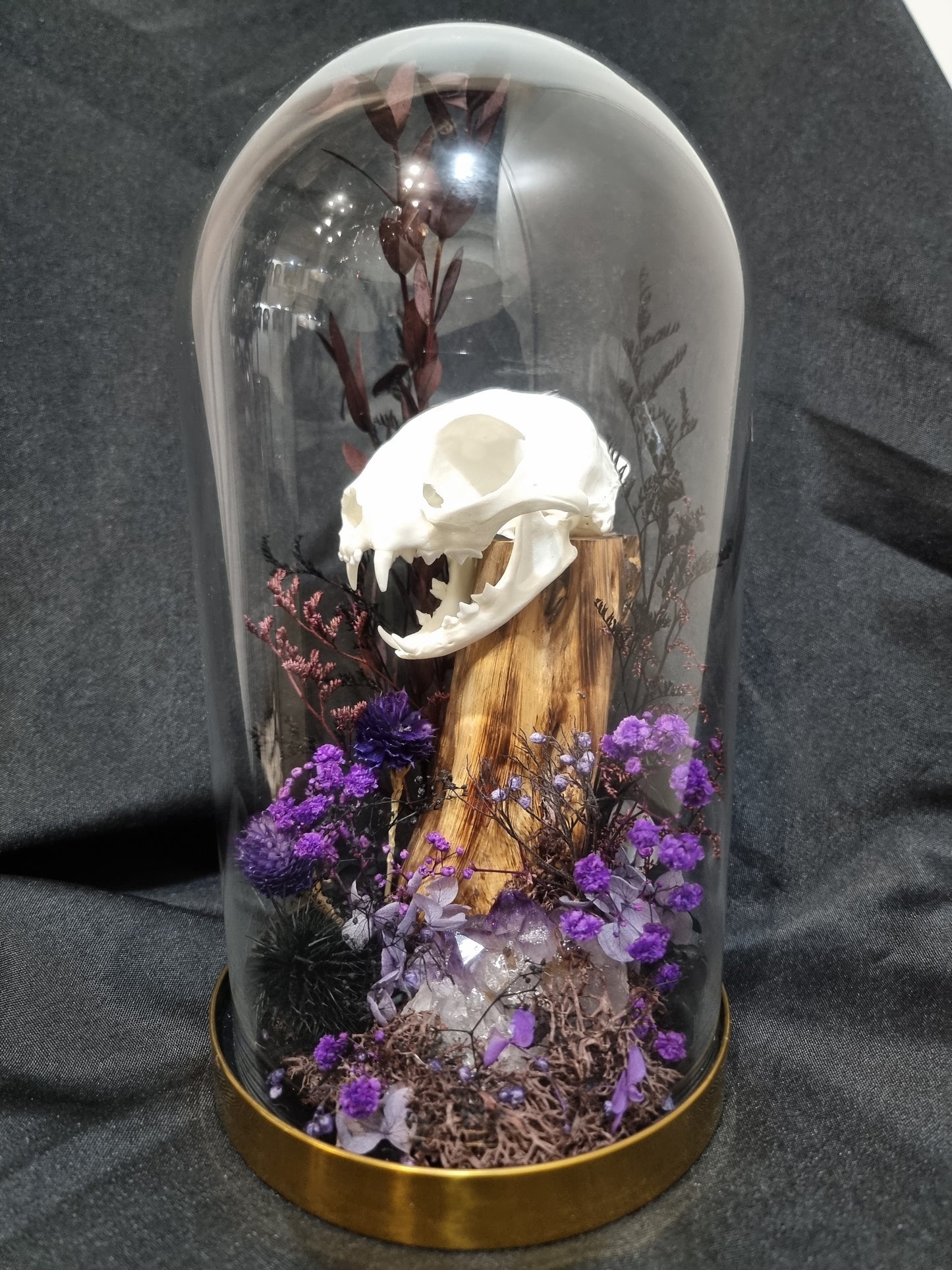 Cat Amethyst Purple Terrarium