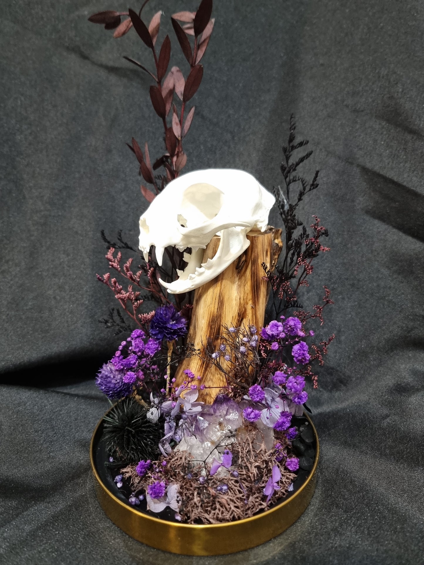Cat Amethyst Purple Terrarium