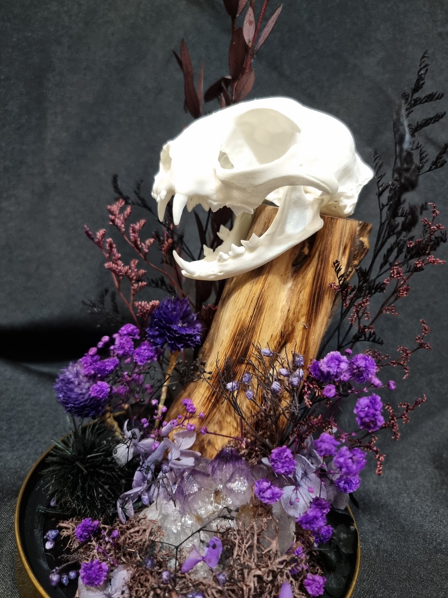 Cat Amethyst Purple Terrarium